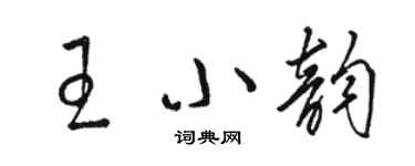駱恆光王小韻草書個性簽名怎么寫
