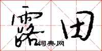 錢沛雲露田行書怎么寫