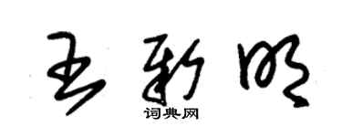 朱錫榮王新明草書個性簽名怎么寫