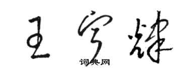 駱恆光王寧輝草書個性簽名怎么寫