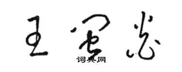 駱恆光王閩炎草書個性簽名怎么寫