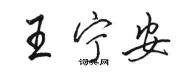 駱恆光王寧安行書個性簽名怎么寫