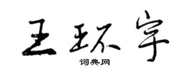 曾慶福王環宇行書個性簽名怎么寫