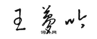 駱恆光王夢吟草書個性簽名怎么寫