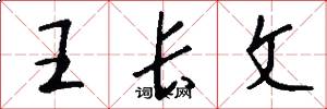王長文怎么寫好看