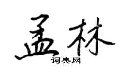 王正良孟林行書個性簽名怎么寫