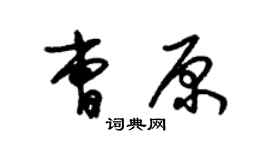 朱錫榮曹原草書個性簽名怎么寫