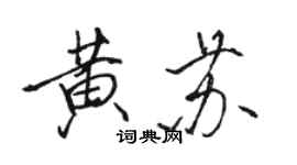 駱恆光黃蘇行書個性簽名怎么寫