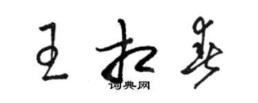 駱恆光王相春草書個性簽名怎么寫
