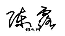 朱錫榮陳露草書個性簽名怎么寫
