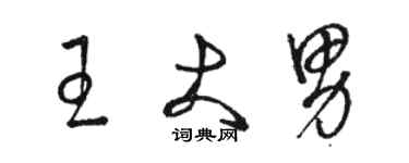 駱恆光王大男草書個性簽名怎么寫