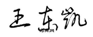 曾慶福王東凱草書個性簽名怎么寫