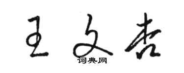 駱恆光王文杏草書個性簽名怎么寫