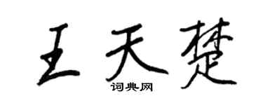 王正良王天楚行書個性簽名怎么寫