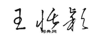 駱恆光王恬穎草書個性簽名怎么寫