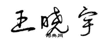 曾慶福王曉宇草書個性簽名怎么寫