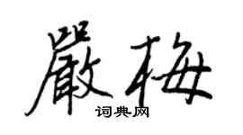 王正良嚴梅行書個性簽名怎么寫