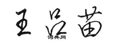 駱恆光王呂苗行書個性簽名怎么寫