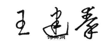 駱恆光王建秦草書個性簽名怎么寫