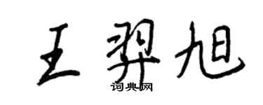 王正良王羿旭行書個性簽名怎么寫