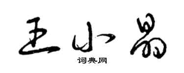 曾慶福王小晶草書個性簽名怎么寫