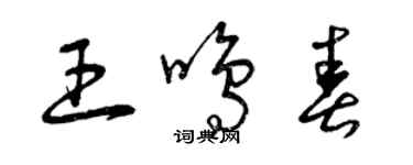 曾慶福王鳴春草書個性簽名怎么寫