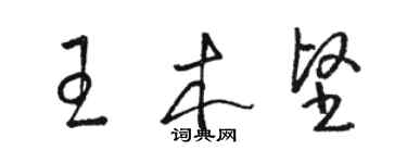 駱恆光王木堅草書個性簽名怎么寫