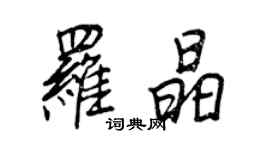 王正良羅晶行書個性簽名怎么寫