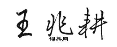 駱恆光王兆耕行書個性簽名怎么寫