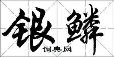 胡問遂銀鱗行書怎么寫