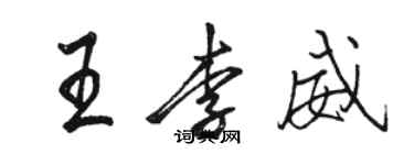 駱恆光王李威行書個性簽名怎么寫