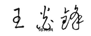 駱恆光王炎鋒草書個性簽名怎么寫