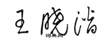 駱恆光王曉潛草書個性簽名怎么寫