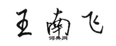 駱恆光王南飛行書個性簽名怎么寫