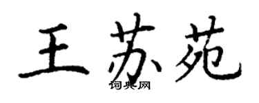 丁謙王蘇苑楷書個性簽名怎么寫