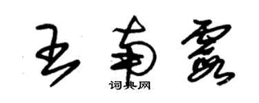 朱錫榮王南霞草書個性簽名怎么寫