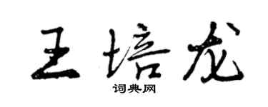 曾慶福王培龍行書個性簽名怎么寫