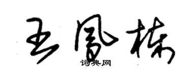 朱錫榮王鳳棟草書個性簽名怎么寫