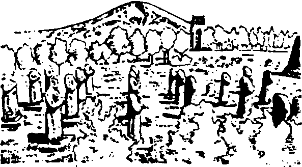 乾陵_乾陵介紹_歷史知識