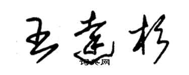 朱錫榮王達杉草書個性簽名怎么寫