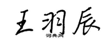 王正良王羽辰行書個性簽名怎么寫