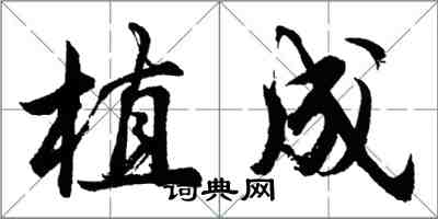 胡問遂植成行書怎么寫