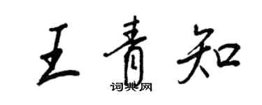 王正良王青知行書個性簽名怎么寫