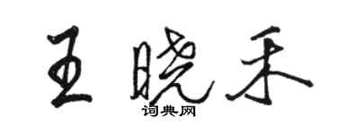 駱恆光王曉禾行書個性簽名怎么寫