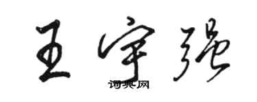 駱恆光王宇強行書個性簽名怎么寫