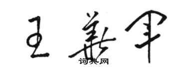 駱恆光王華軍草書個性簽名怎么寫