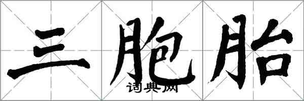 翁闓運三胞胎楷書怎么寫