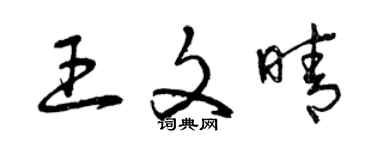 曾慶福王文晴草書個性簽名怎么寫