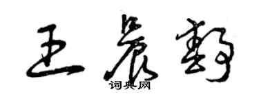 曾慶福王晨靜草書個性簽名怎么寫