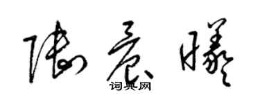 梁錦英陸晨曦草書個性簽名怎么寫